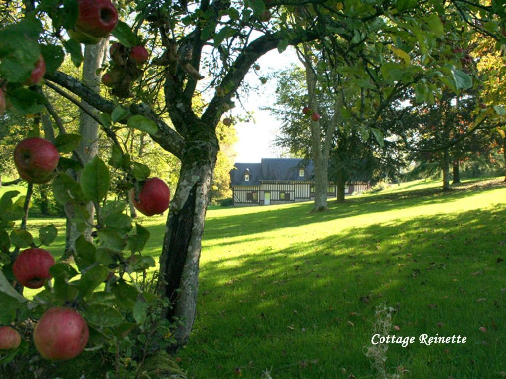 Les Fermes de Florence Les Champeaux Chambre photo